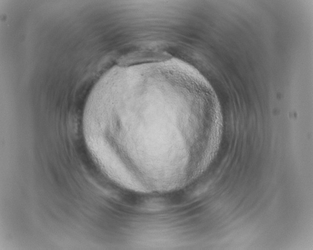 X0000074960268200609291920