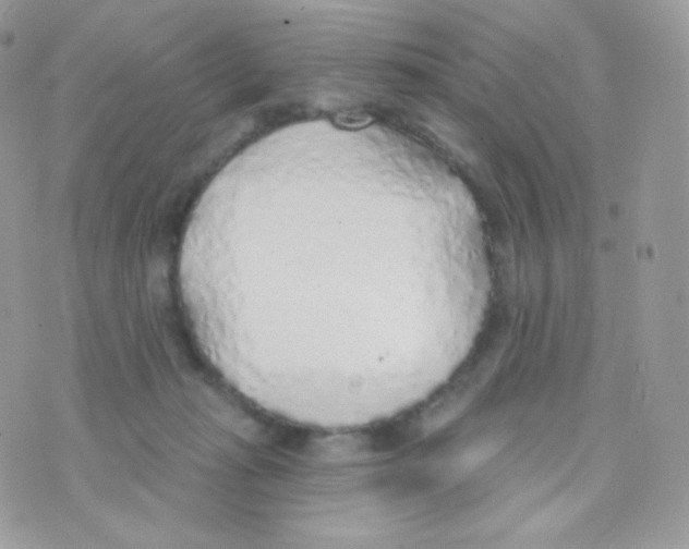 X0000074960269200609291920