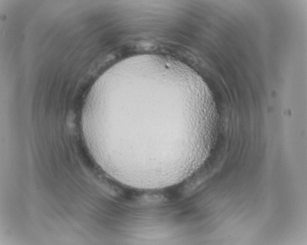 X0000074960270200609291920