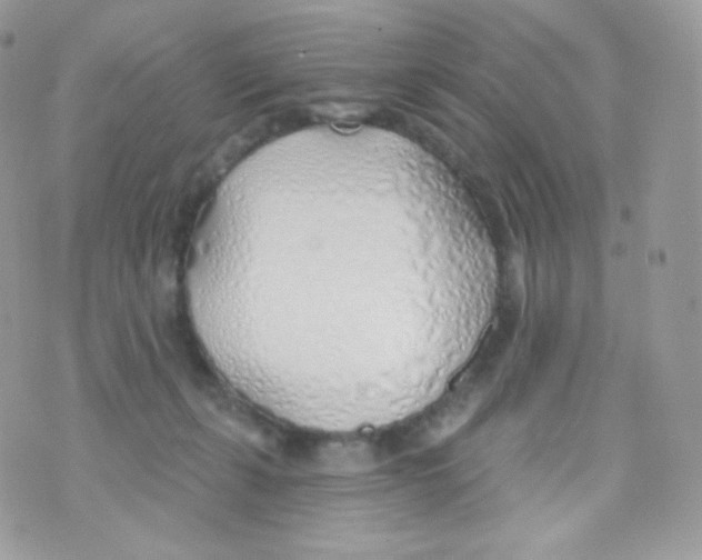 X0000074960271200609291920