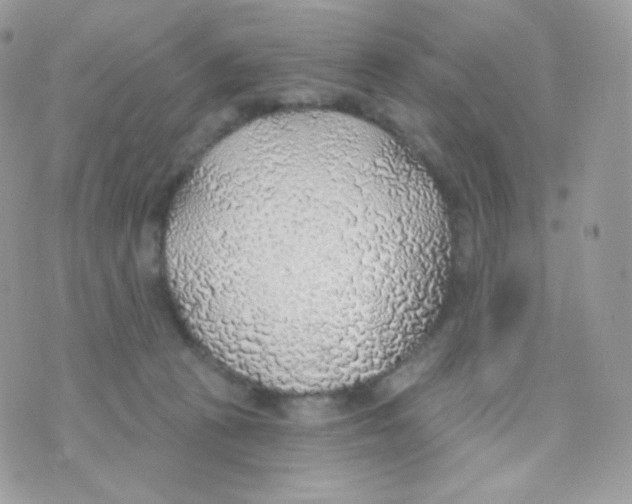 X0000074960273200609291920