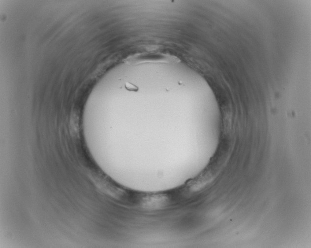 X0000074960274200609291920