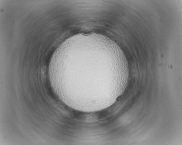 X0000074960275200609291920