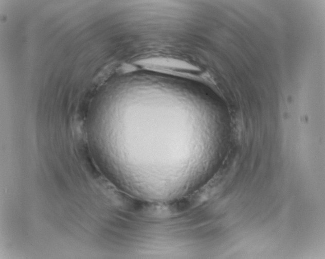 X0000074960276200609291920