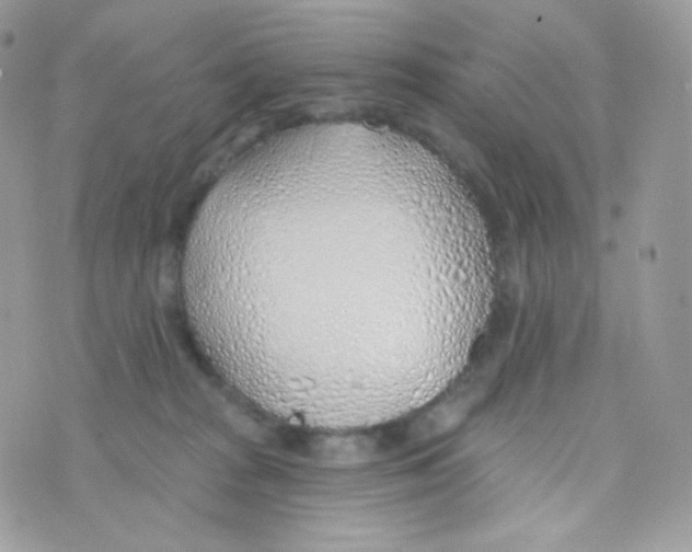 X0000074960277200609291920