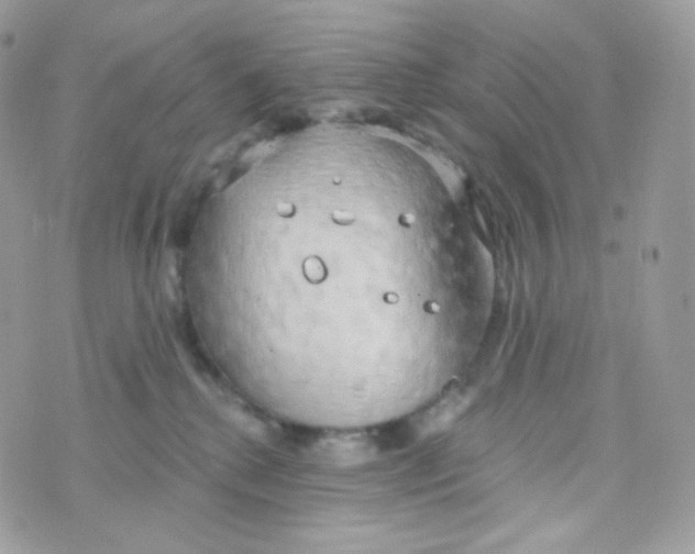 X0000074960280200609291920