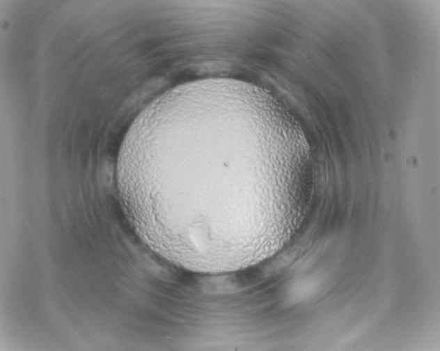 X0000074960281200609291920