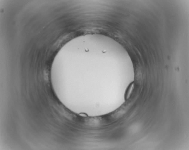 X0000074960282200609291920