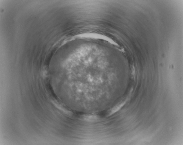 X0000074960284200609291920