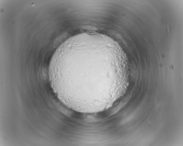 X0000074960285200609291920