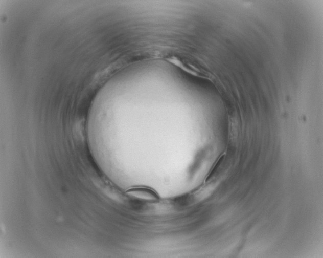 X0000074960286200609291920