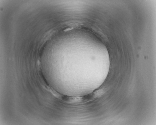 X0000074960288200609291920