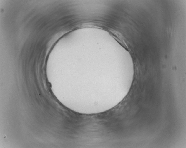 X0000074960289200609291920