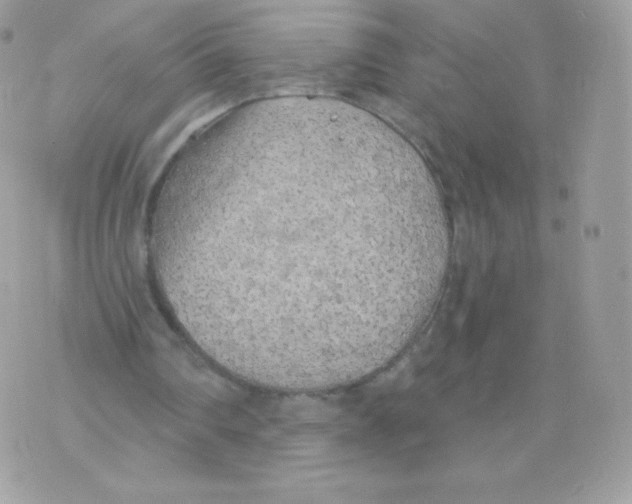 X0000074960290200609291920