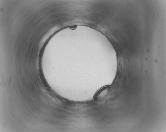 X0000074960292200609291920