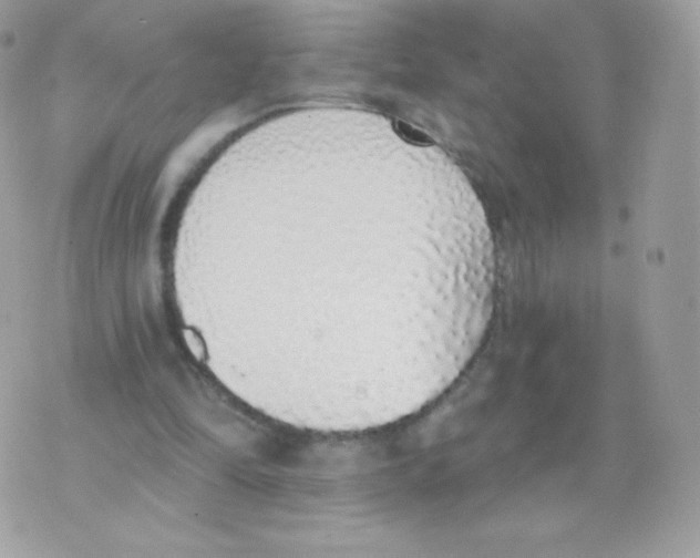 X0000074960294200609291919