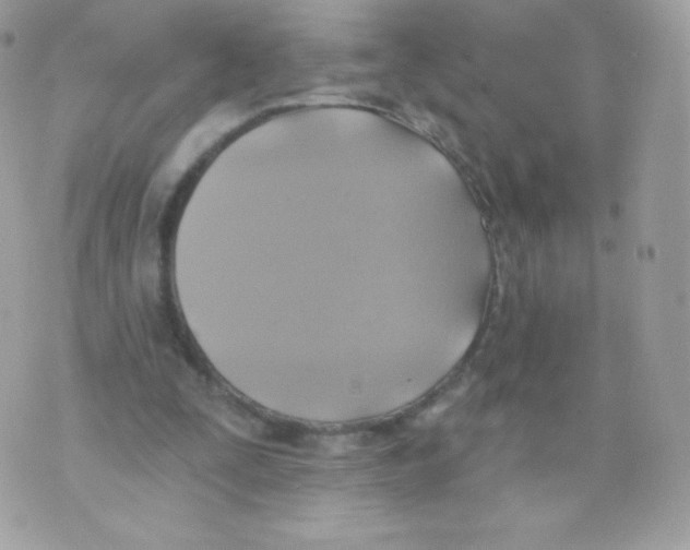 X0000074960295200609291919