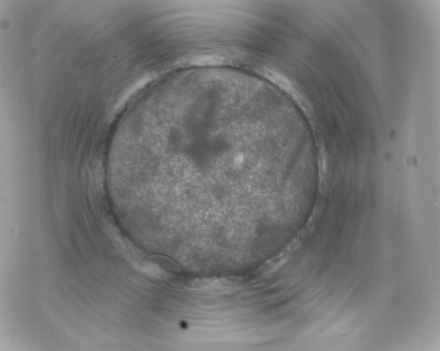 X0000074960297200609291919