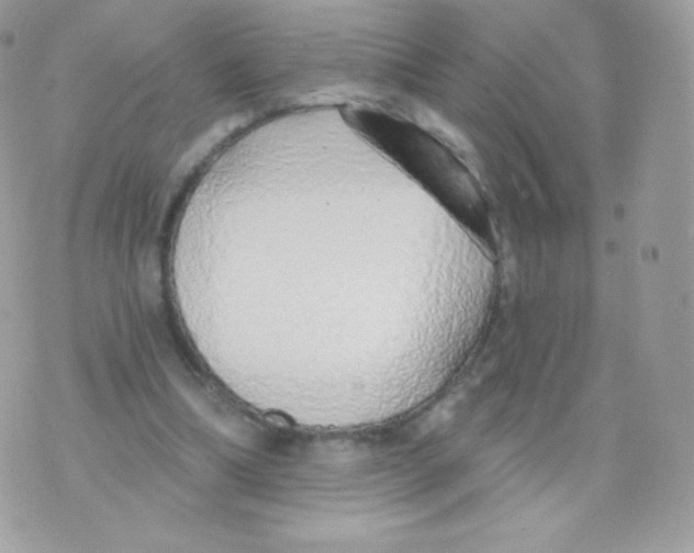 X0000074960298200609291919