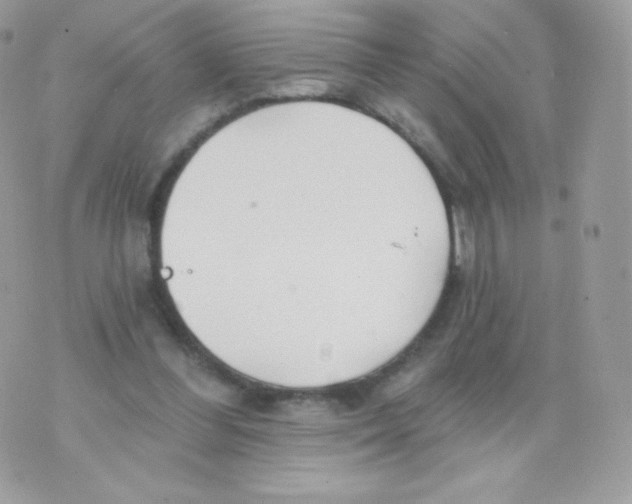 X0000074960300200609291919