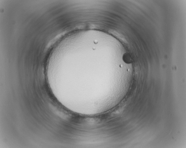 X0000074960302200609291919