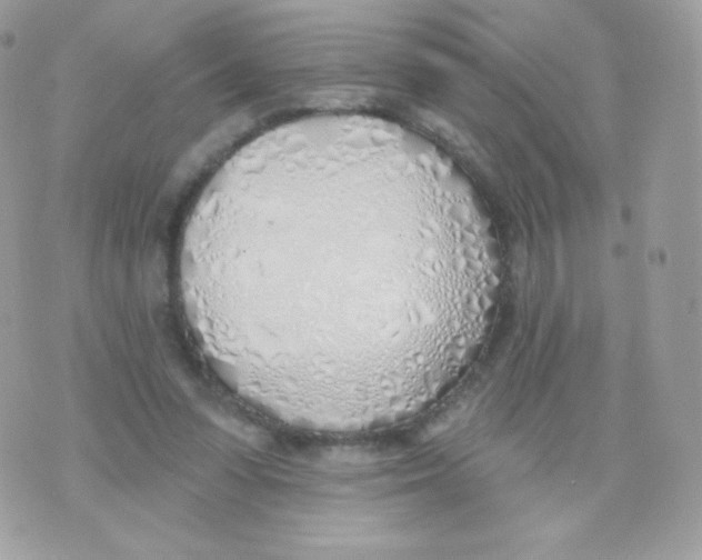 X0000074960303200609291919