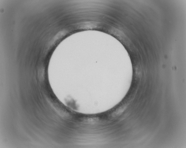 X0000074960304200609291919