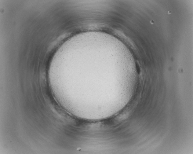 X0000074960306200609291919