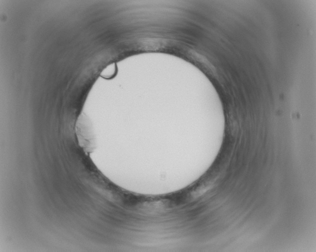 X0000074960307200609291919