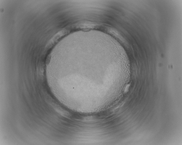 X0000074960309200609291919