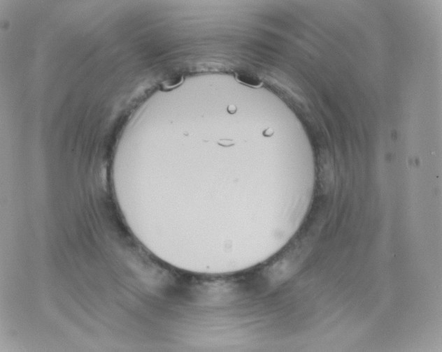 X0000074960310200609291919