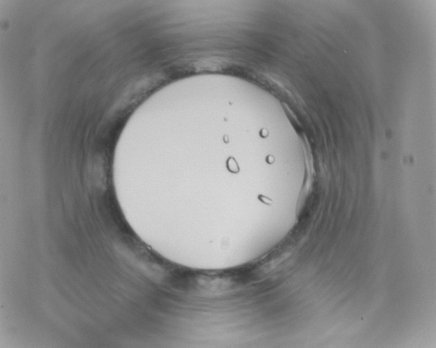 X0000074960311200609291919