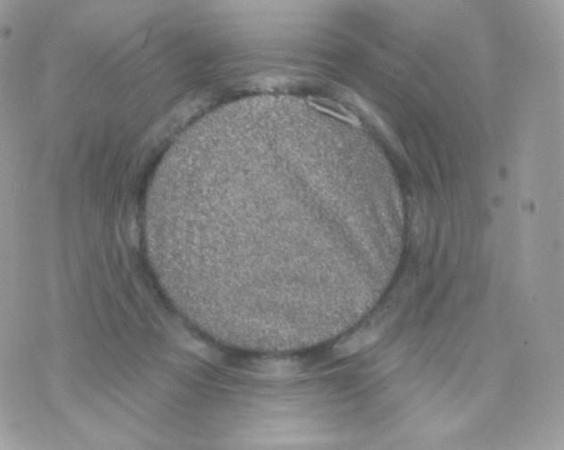 X0000074960313200609291919