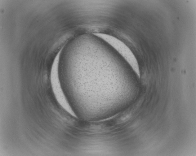 X0000074960314200609291919