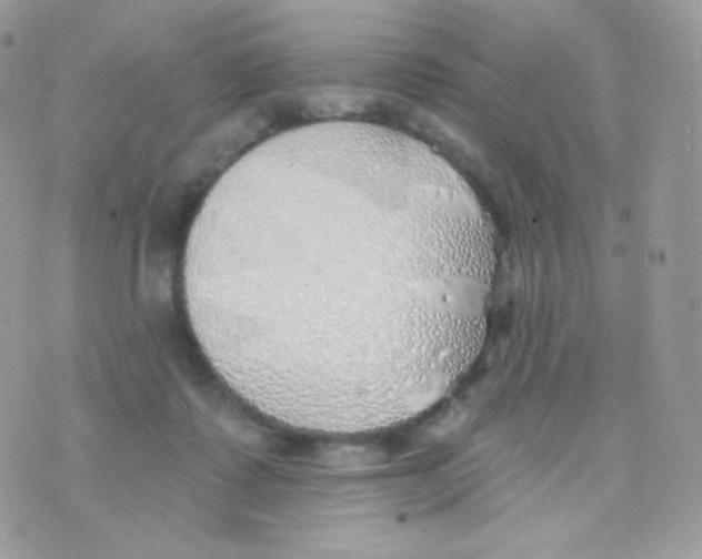 X0000074960315200609291919