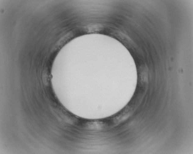 X0000074960316200609291919