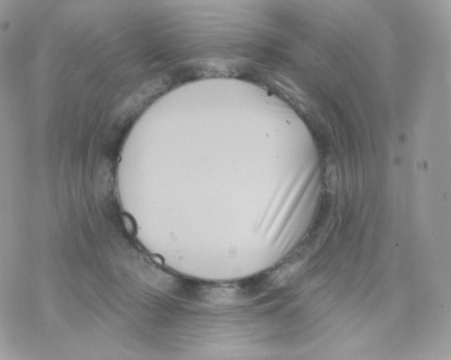 X0000074960318200609291919