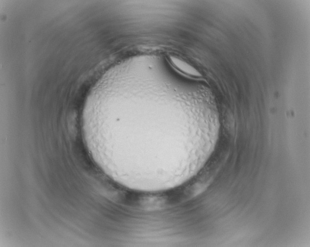 X0000074960319200609291919