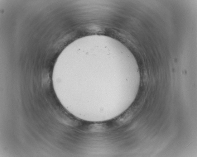 X0000074960320200609291919