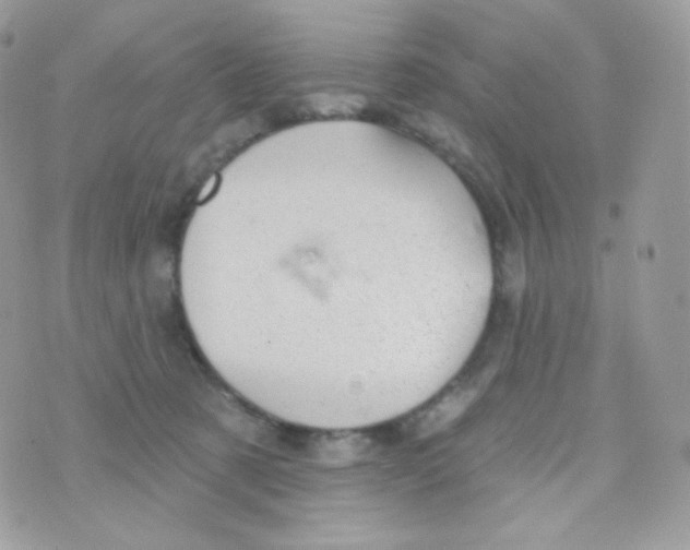 X0000074960321200609291919