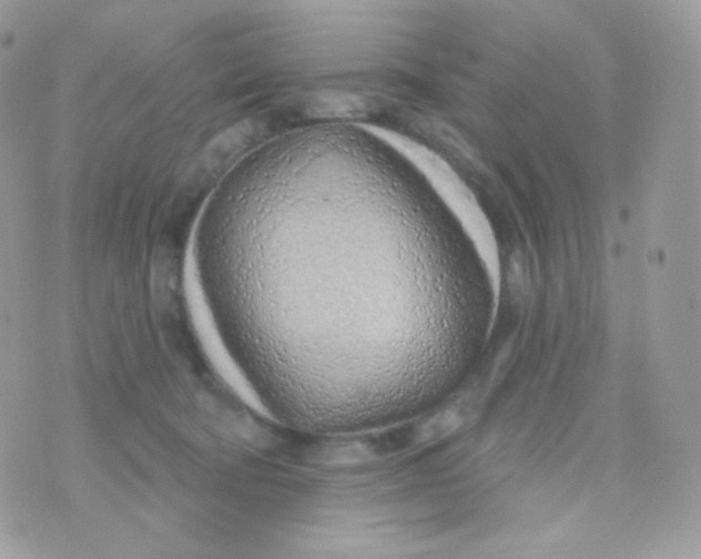 X0000074960322200609291919