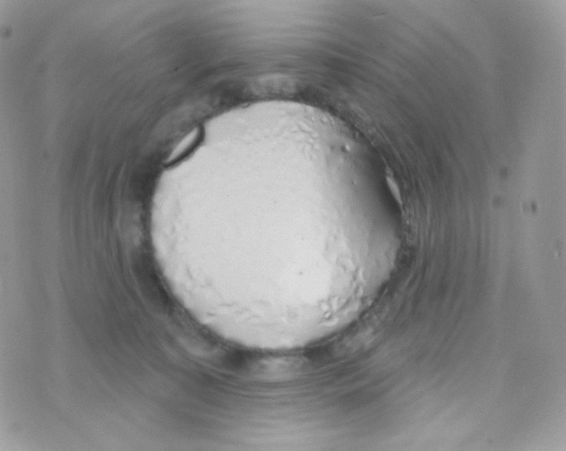 X0000074960323200609291919