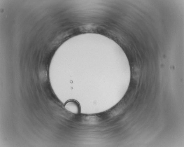 X0000074960324200609291919