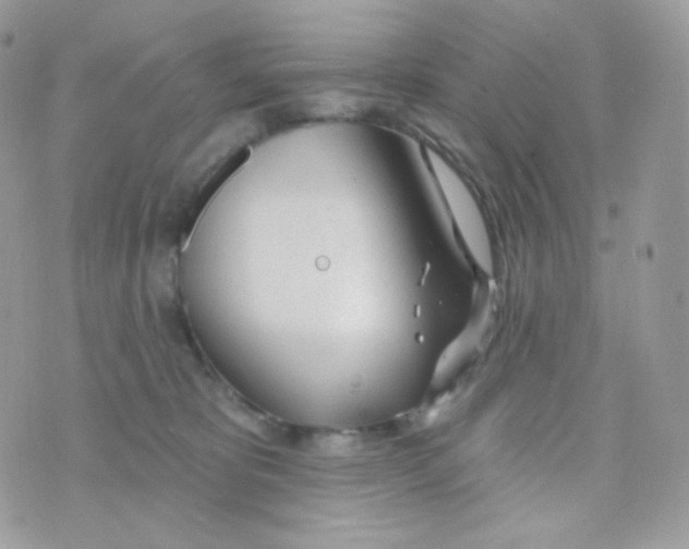 X0000074960325200609291919