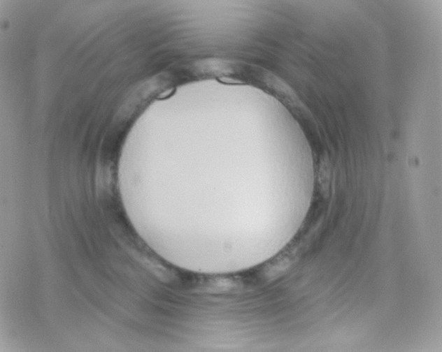 X0000074960330200609291919