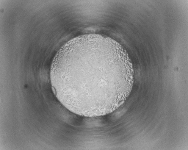 X0000074960331200609291919