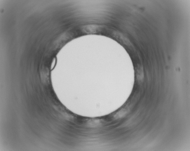 X0000074960332200609291919