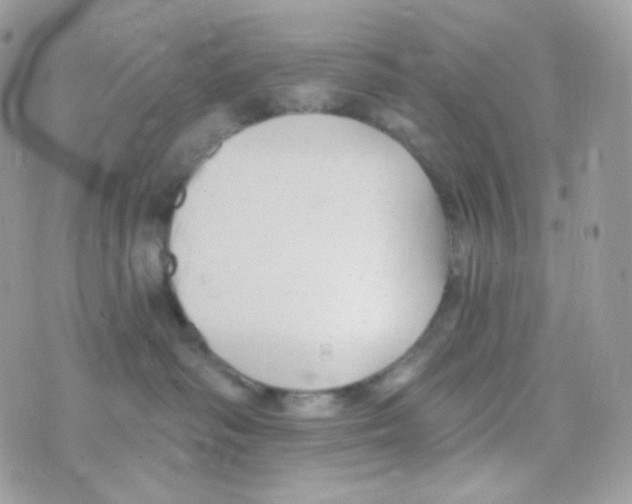 X0000074960334200609291919