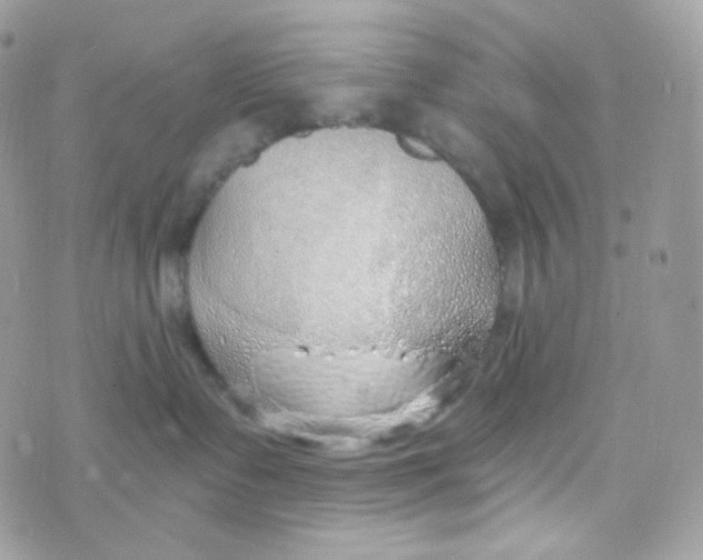 X0000074960335200609291919