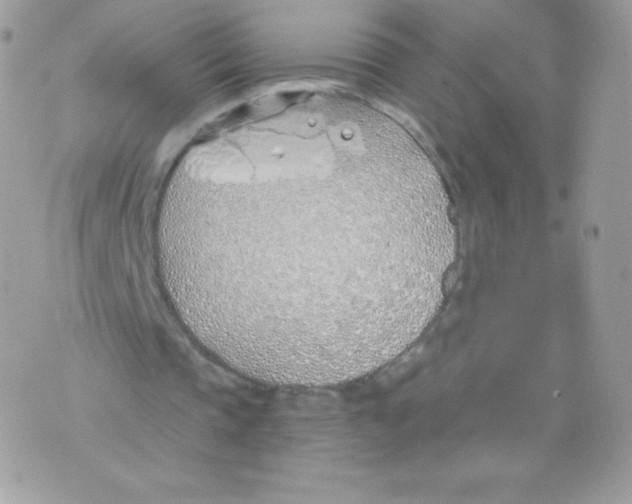 X0000074960337200609291918